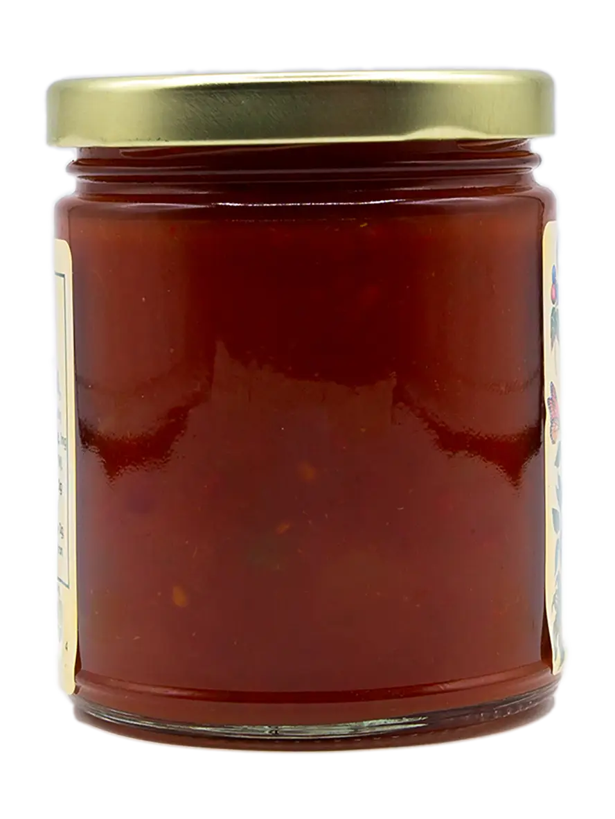 Vidalia Onion Tomato Salsa