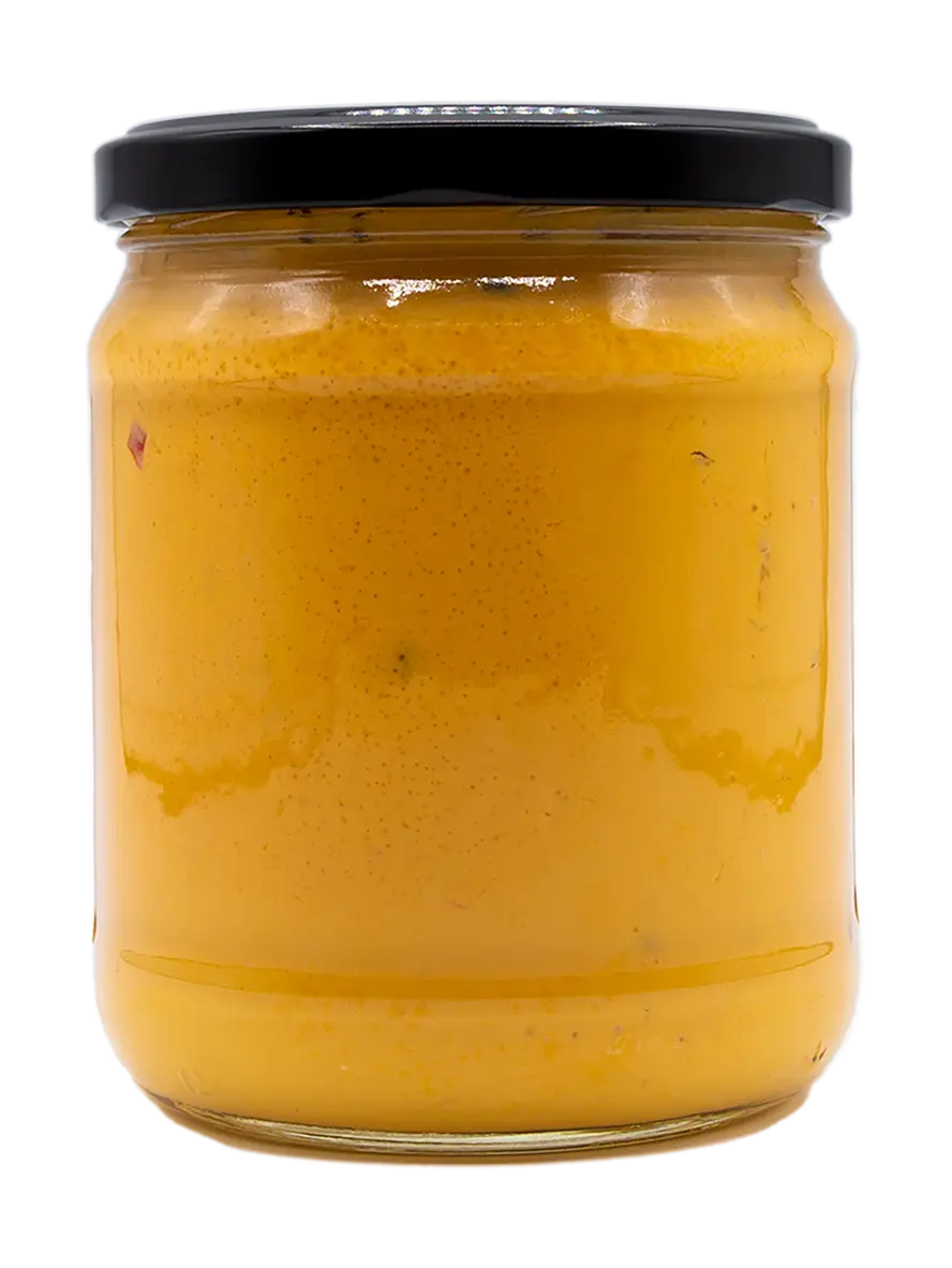 Sizzlin Salsa Cheese Dip